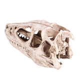 Resin Dinosaur Skull Model Simulated Animal Skeleton Home Office Decor Craft Teaching Prop - Rear View