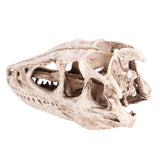 Resin Dinosaur Skull Model Simulated Animal Skeleton Home Office Decor Craft Teaching Prop - Extra Image