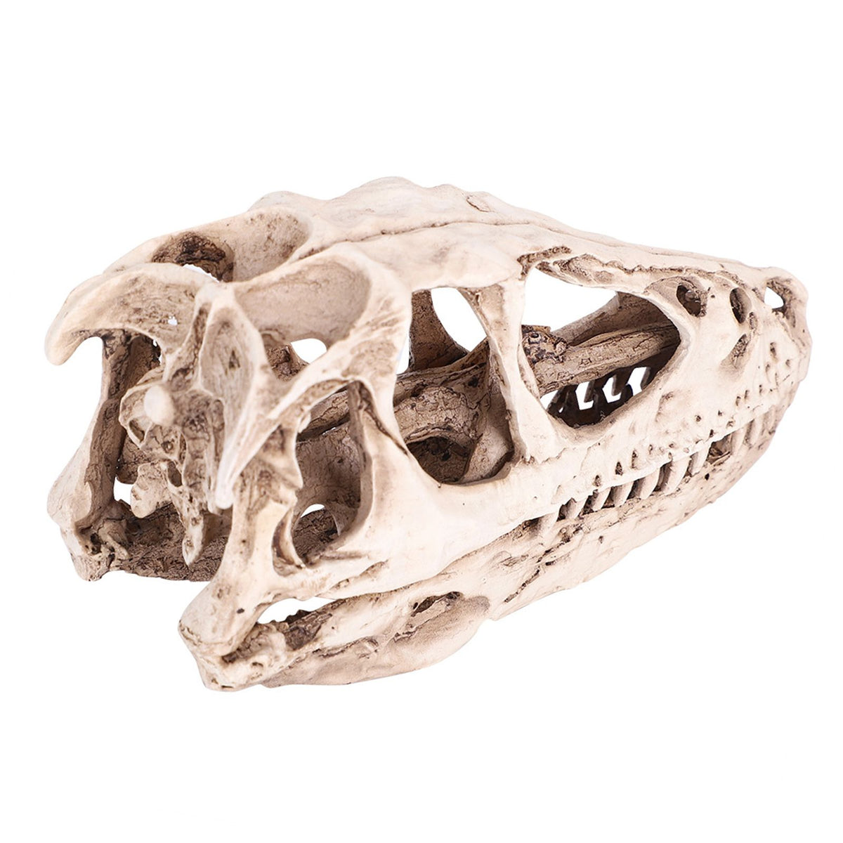 Resin Dinosaur Skull Model Simulated Animal Skeleton Home Office Decor Craft Teaching Prop