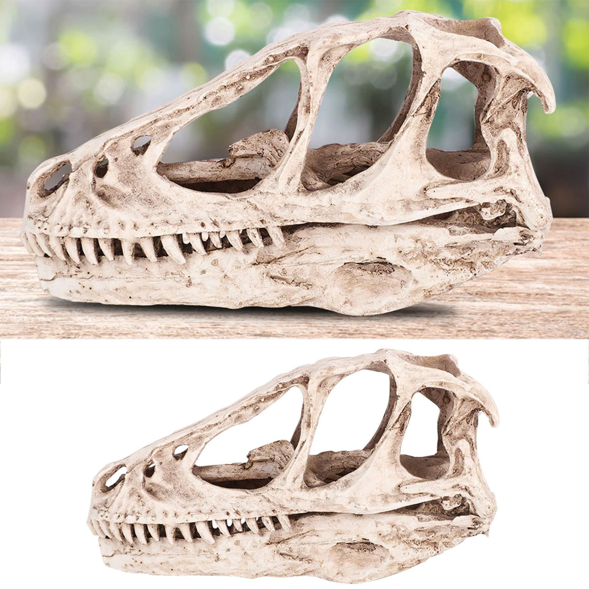 Resin Dinosaur Skull Model Simulated Animal Skeleton Home Office Decor Craft Teaching Prop