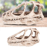 Resin Dinosaur Skull Model Simulated Animal Skeleton Home Office Decor Craft Teaching Prop