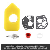 Carburetor Diaphragm Gasket Air Filter Spark Plug Kit for Briggs & Stratton Many Small Engines