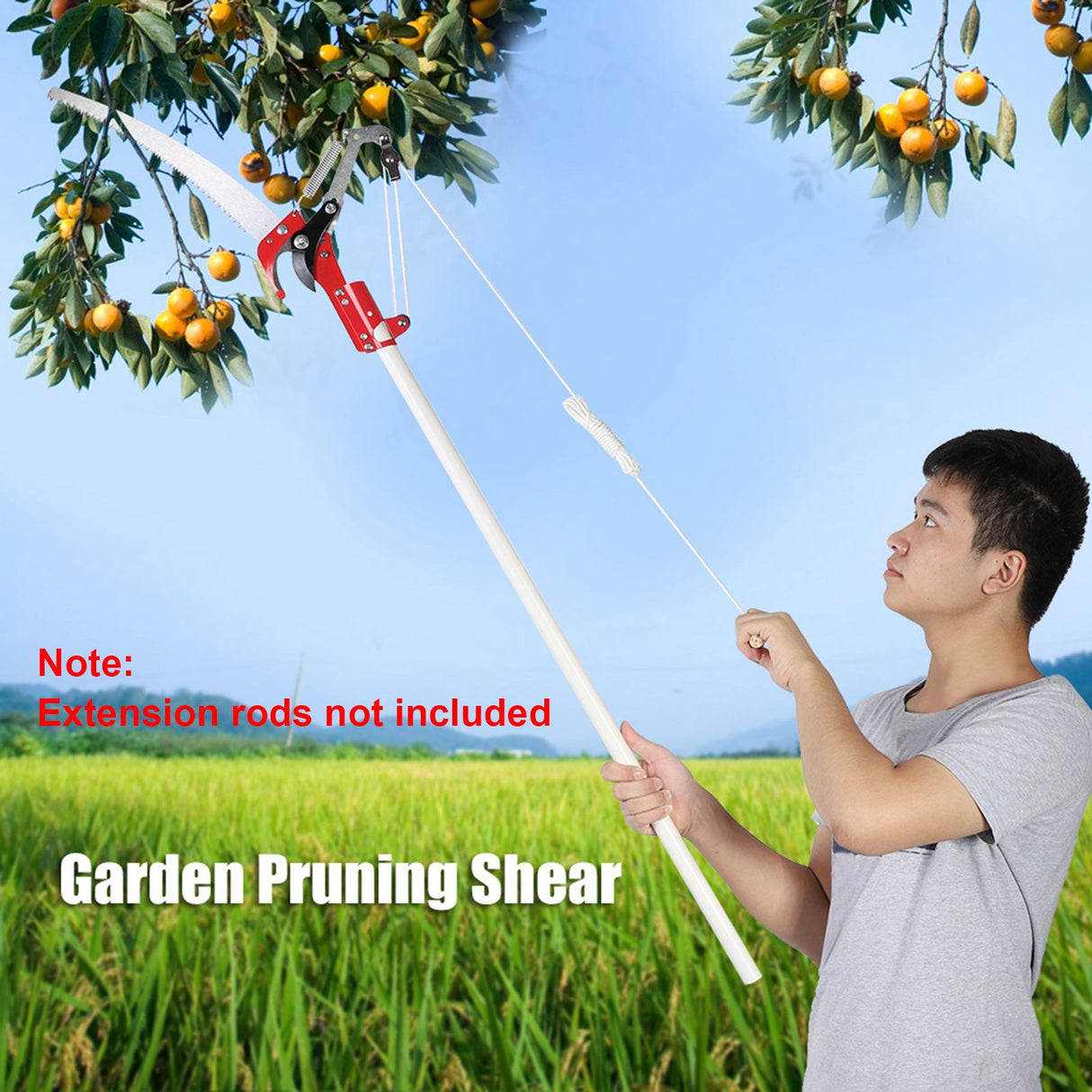 2 Wheels Sharp Garden Pruning Shear Tree Trimmer Clipper Trimming Tool