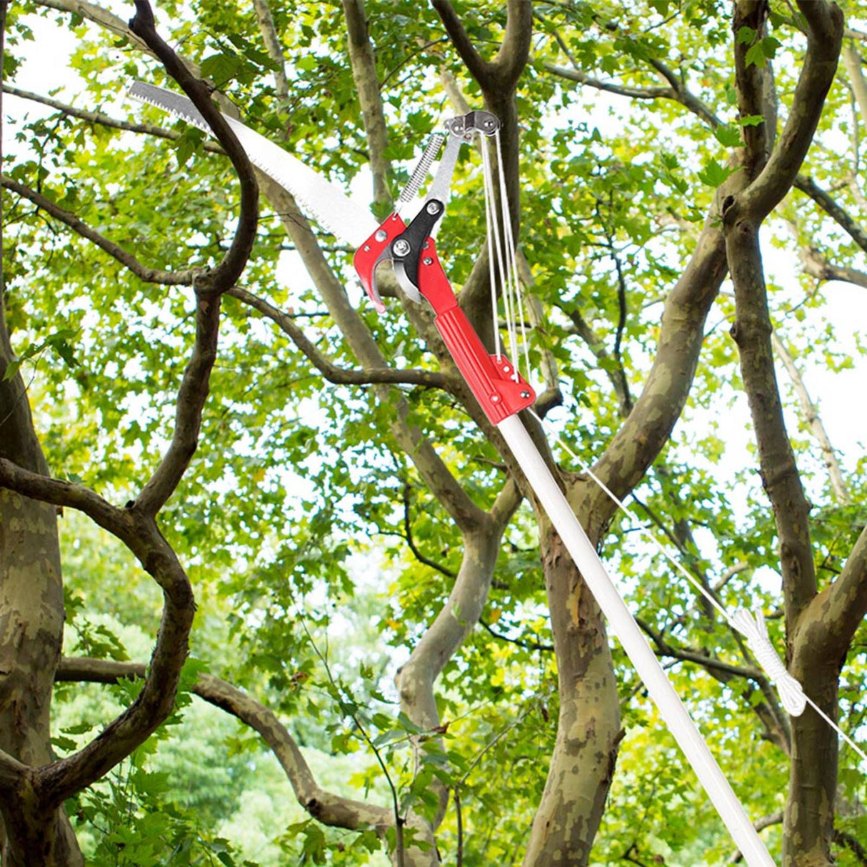 4 Wheels Sharp Garden Pruning Shear Tree Trimmer Clipper Trimming Tool