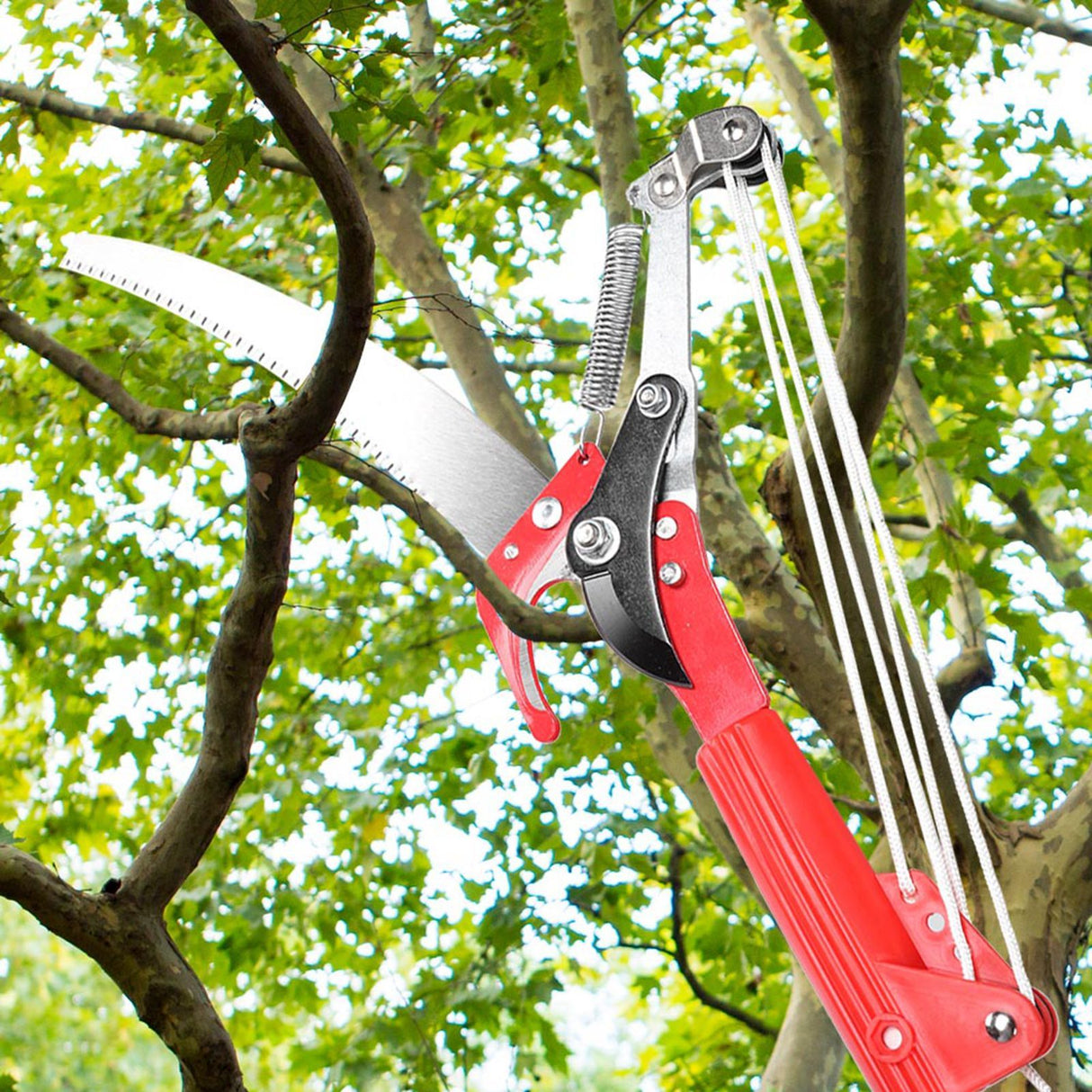 4 Wheels Sharp Garden Pruning Shear Tree Trimmer Clipper Trimming Tool