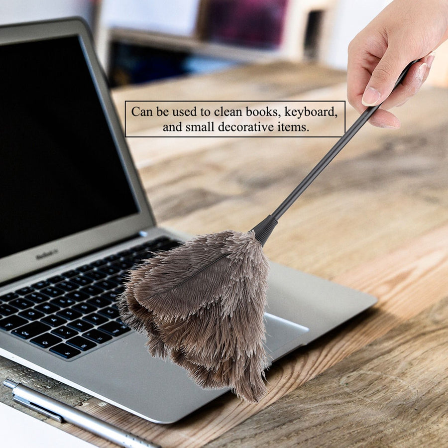 Mini Handmade Washable Reusable Ostrich Feather Duster for Books Keyboard Office Home