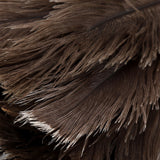 Mini Washable Reusable Ostrich Feather Duster for Books Keyboard Office Home