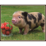 Semi diamond Small Animals Series DIY Rhinestone Painting Living Room Decoration Art Craft 03