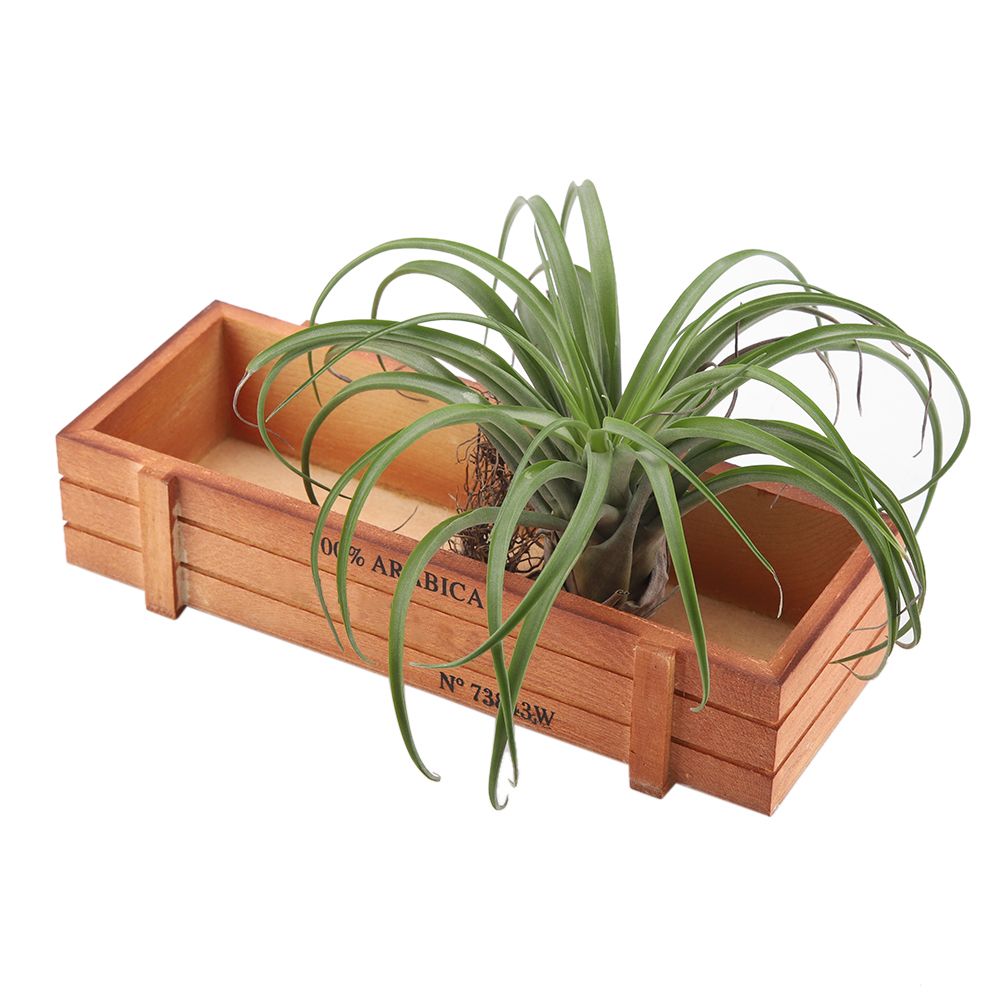Vintage Wood Flower Planter Succulent Pot Rectangle Box for Home Desktop Storage Tray