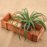 Vintage Wood Flower Planter Succulent Pot Rectangle Box for Home Desktop Storage Tray