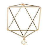 Geometric Air Pants Holder Fashionable Flowers Bromeliads Hanging Rack Home Decor Gold - Close-Up Angle