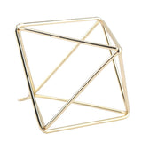 Geometric Air Pants Holder Fashionable Flowers Bromeliads Hanging Rack Home Decor Gold - Low Angle