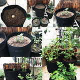 Breathable Potato Tomato Planting Bag Outdoor Garden Vegetable Plant Growth Bag(Brown) - Side View