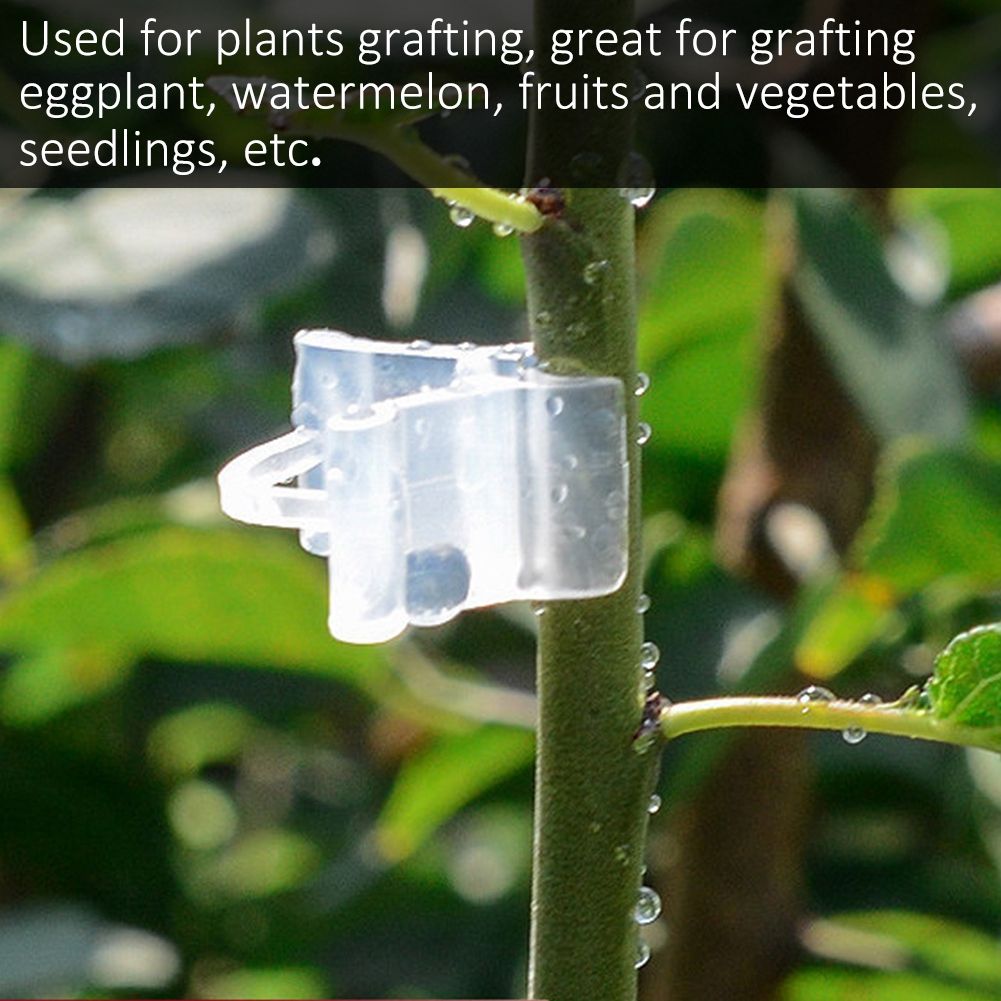 100Pcs Vegetable Fruit Tree Seedling Nursery Plastic Plants Grafting Clips Gardening Tools