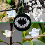 100Pcs Vegetable Fruit Tree Seedling Nursery Plastic Plants Grafting Clips Gardening Tools
