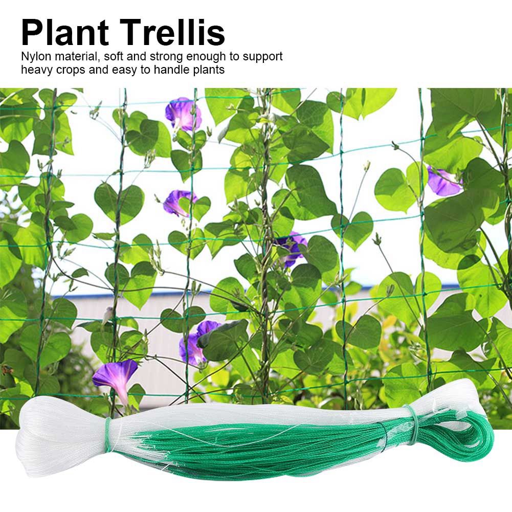 Garden Plant Trellis Net Plants Climbing Frame Fruit Tree Protect Anti Pest Weed