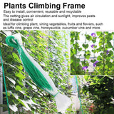 Garden Plant Trellis Net Plants Climbing Frame Fruit Tree Protect Anti Pest Weed