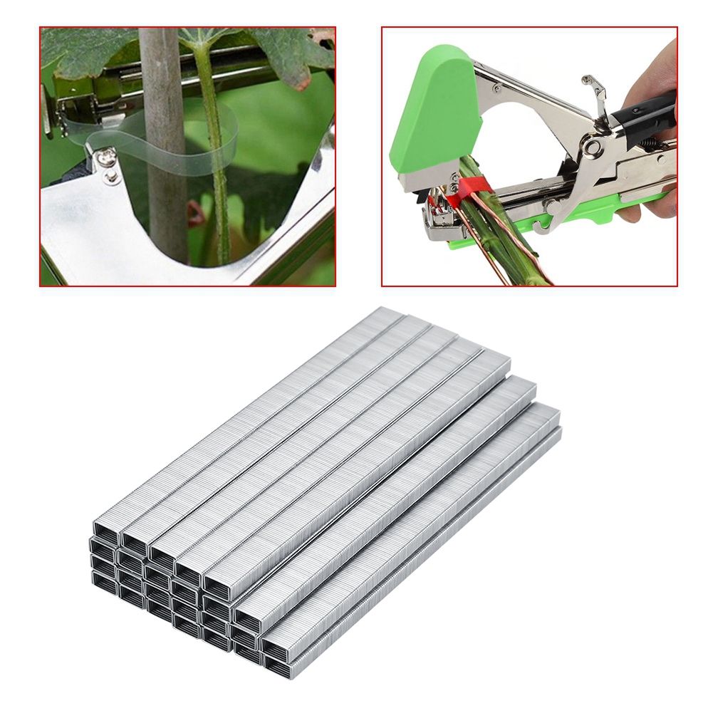 10000pcs 604C Tomato Vine Binder Nail Tapetool Garden Nail Branch Binding Nail