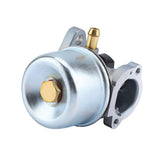 Carburetor For 497586 498170 799868 498254 497314 - Low Angle