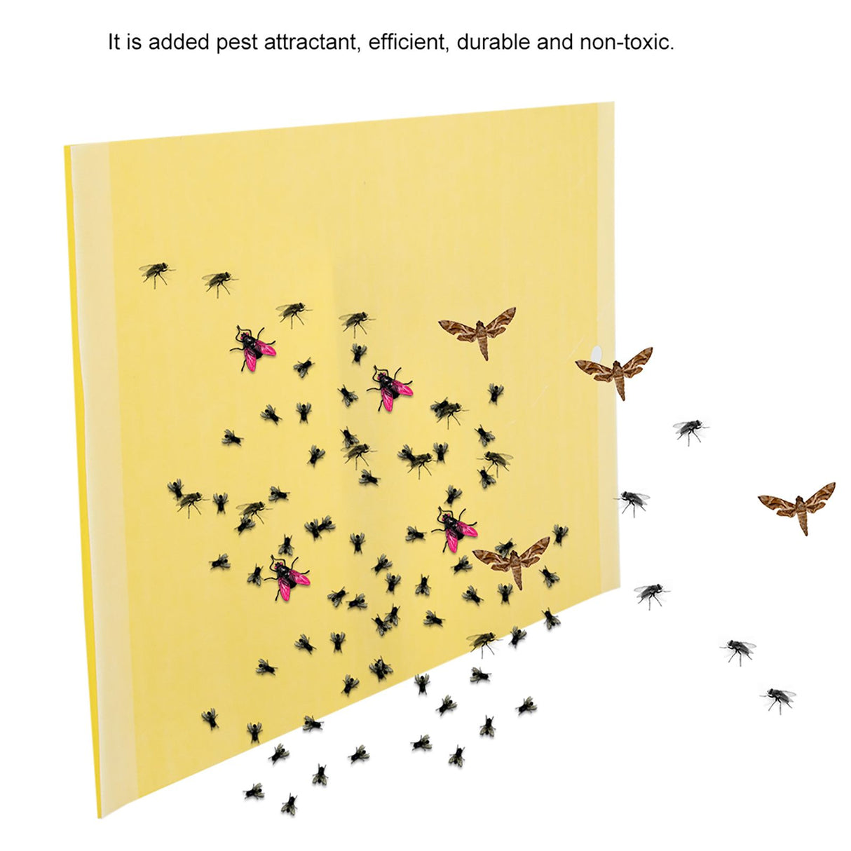 50Pcs Double sided Mosquito Glue Board Traps Pest Sticky Board Fly Insects Catcher Killer