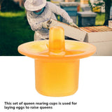 50pcs Beekeeping Queen Rearing Cell Cups Bee Keeper Equipment Tool Apiculture Supply Orange