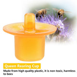 50pcs Beekeeping Queen Rearing Cell Cups Bee Keeper Equipment Tool Apiculture Supply Orange