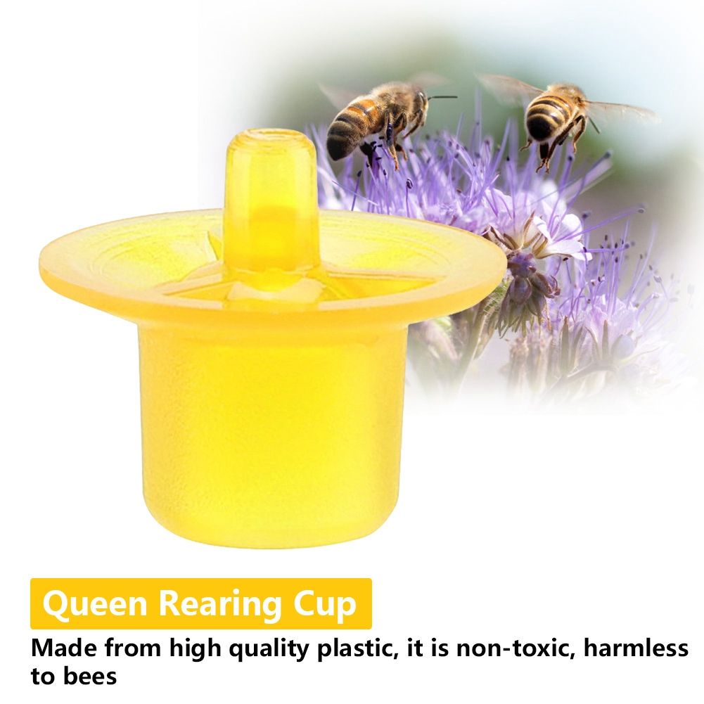 50pcs Beekeeping Queen Rearing Cell Cups Bee Keeper Equipment Tool Apiculture Supply Yellow