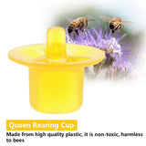 50pcs Beekeeping Queen Rearing Cell Cups Bee Keeper Equipment Tool Apiculture Supply Yellow