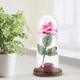 Preserved Rose Flower LED Light with Glass Cover Wooden Base Valentines'Day Wedding Gift Pink - 45-Degree Angle