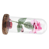 Preserved Rose Flower LED Light with Glass Cover Wooden Base Valentines'Day Wedding Gift Pink
