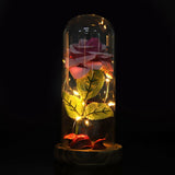 Preserved Rose Flower LED Light with Glass Cover Wooden Base Valentines'Day Wedding Gift Pink