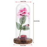 Preserved Rose Flower LED Light with Glass Cover Wooden Base Valentines'Day Wedding Gift Pink