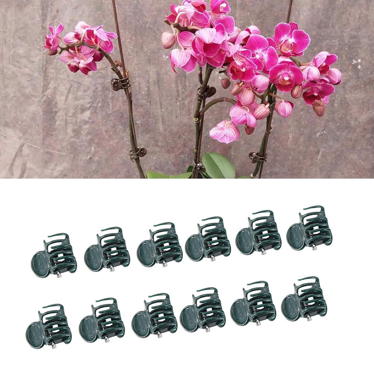 100Pcs Plastic Mini Stalks Flower Garden Tools Stem Clips Grow Upright Orchid