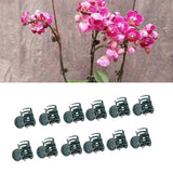 100Pcs Plastic Mini Stalks Flower Garden Tools Stem Clips Grow Upright Orchid