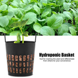 10Pcs High Quality Mesh Pot Net Basket Hydroponic Aeroponic Planting Grow Pots