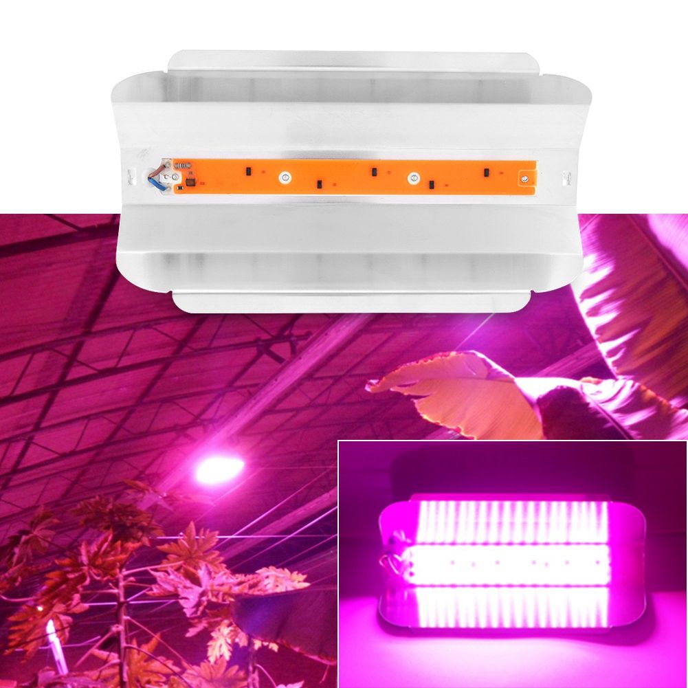 220V 50W Indoor Plants COB LED Growing Light Full Spectrum Plant Grow Lamp