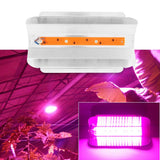 220V 50W Indoor Plants COB LED Growing Light Full Spectrum Plant Grow Lamp - 45-Degree Angle