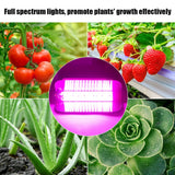 220V 50W Indoor Plants COB LED Growing Light Full Spectrum Plant Grow Lamp