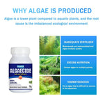 50g Aquarium Algaecide Algae Control Moss Remover for Pond Fish Tank