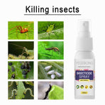 Flower Plant Insect Spray Potted Plant Insect Spider Spray