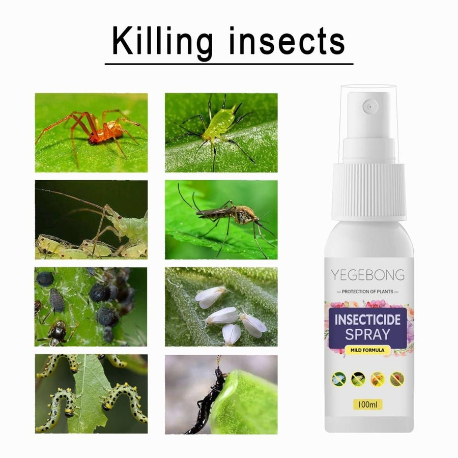 Flower Plant Insect Spray Potted Plant Insect Spider Spray