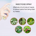 Flower Plant Insect Spray Potted Plant Insect Spider Spray