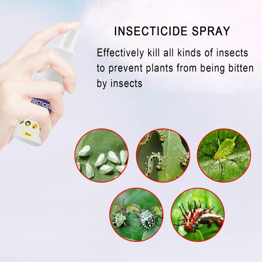 Flower Plant Insect Spray Potted Plant Insect Spider Spray