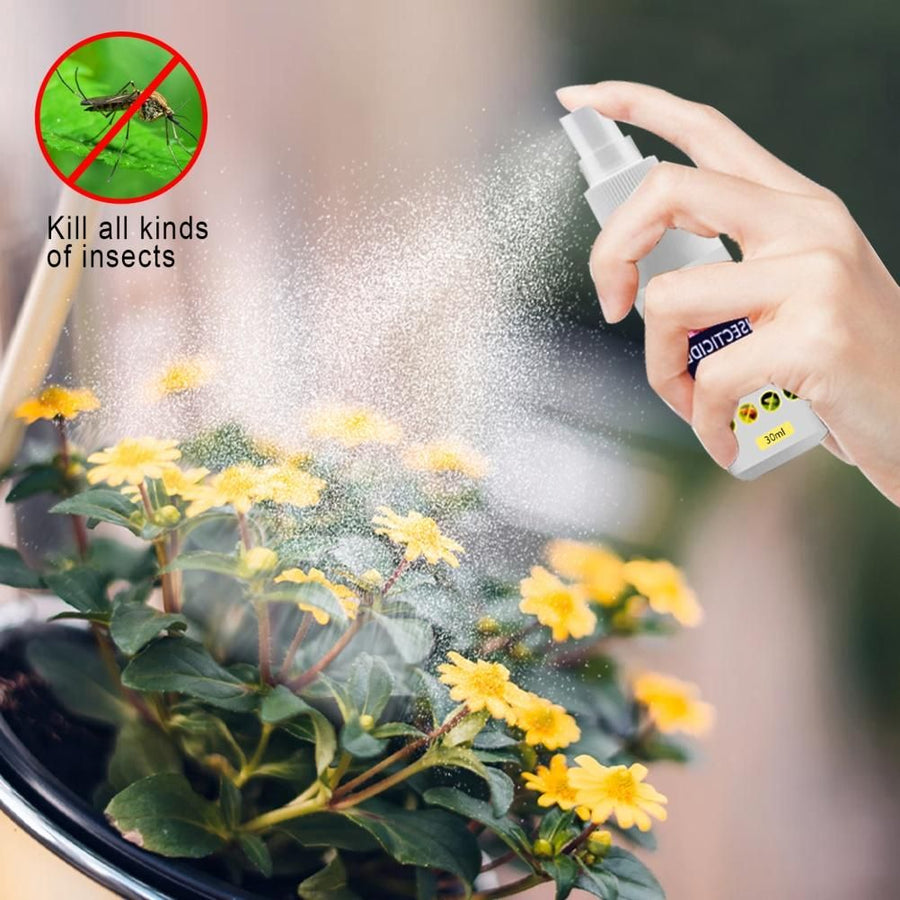 Flower Plant Insect Spray Potted Plant Insect Spider Spray