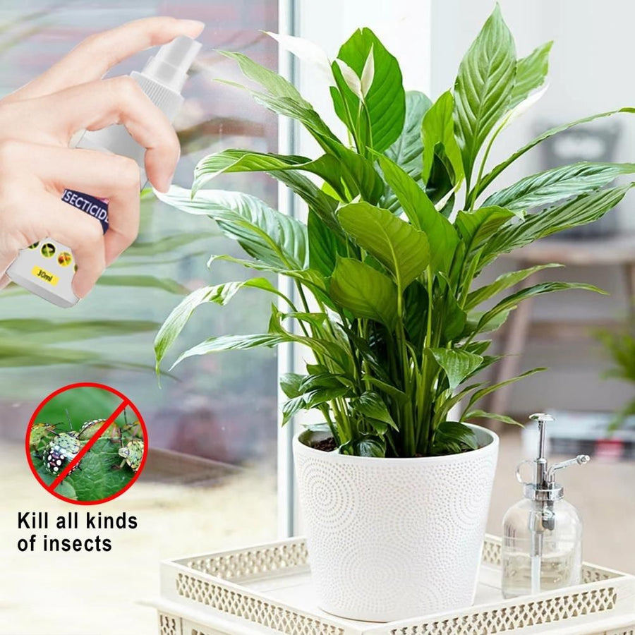 Flower Plant Insect Spray Potted Plant Insect Spider Spray