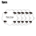 5PCS Flea Trap Stickers Sticky Fly Traps Pumpkin Shaped Flea Traps for Home Bedroom