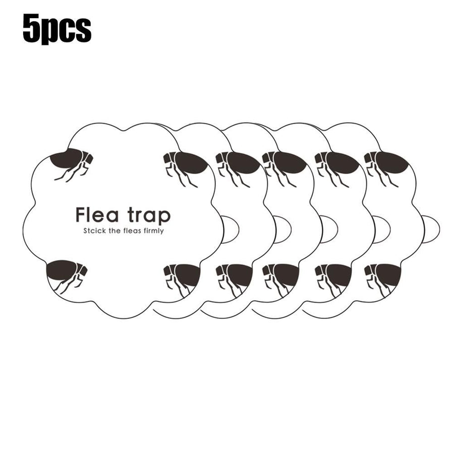 5PCS Flea Trap Stickers Sticky Fly Traps Pumpkin Shaped Flea Traps for Home Bedroom