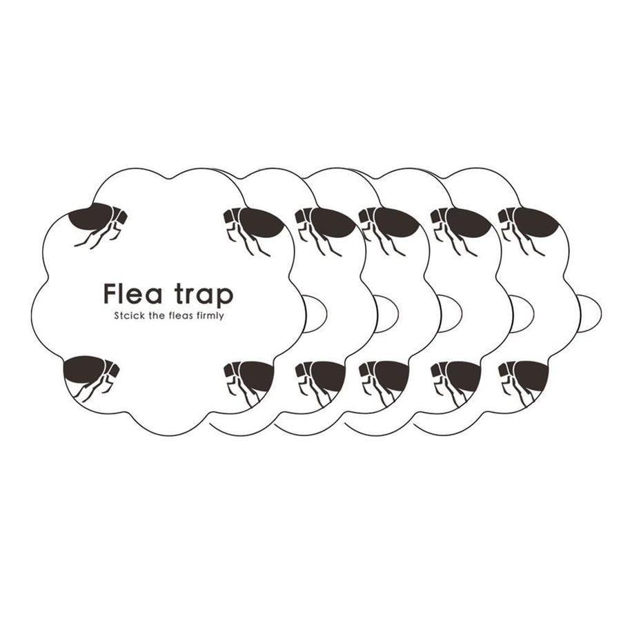 5PCS Flea Trap Stickers Sticky Fly Traps Pumpkin Shaped Flea Traps for Home Bedroom