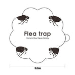 5PCS Flea Trap Stickers Sticky Fly Traps Pumpkin Shaped Flea Traps for Home Bedroom