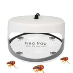 5PCS Flea Trap Stickers Sticky Fly Traps Pumpkin Shaped Flea Traps for Home Bedroom